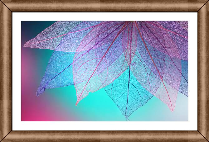 Framed and baguette paintings Transparent leaves on turquoise background