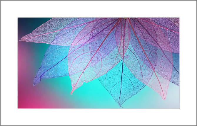 Купить и печать на заказ Картины, фото с паспарту Прозрачные листья на бирюзовом фоне