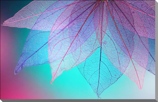 Paintings on plastic, foam cardboard Transparent leaves on turquoise background