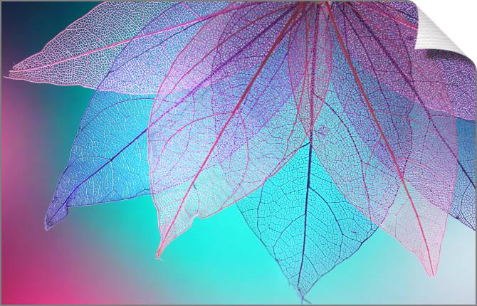 Купить и печать на заказ Картины на холсте Прозрачные листья на бирюзовом фоне