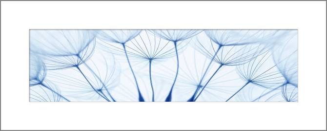 Купить и печать на заказ Картины, фото с паспарту Элементы одуванчиков