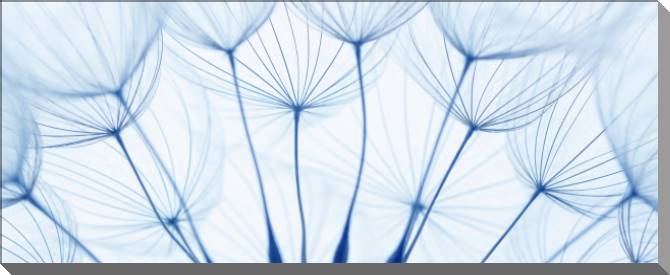 Картины на пластике, пеноркартоне The elements of the dandelions