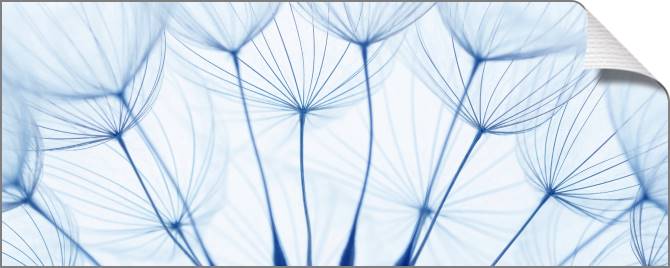 Купить и печать на заказ Картины на холсте Элементы одуванчиков