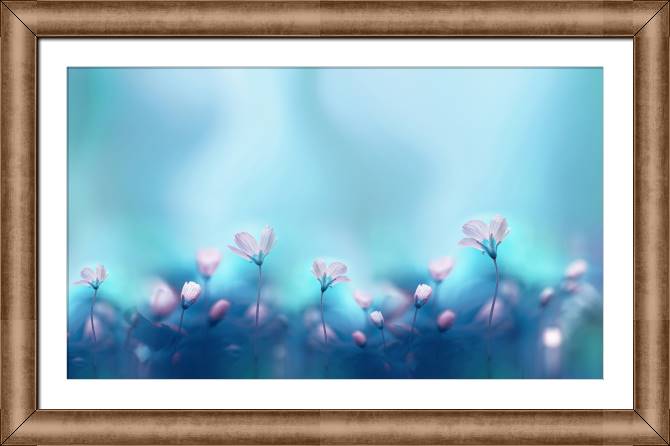 Картины в рамке, багете Romantic floral background