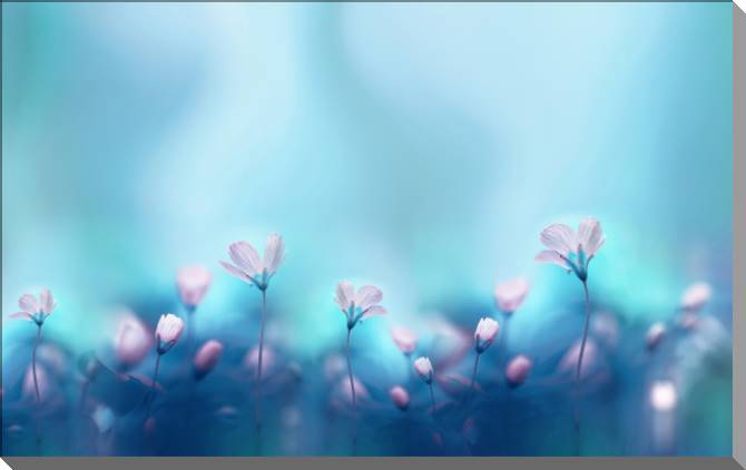 Картины на пластике, пеноркартоне Romantic floral background