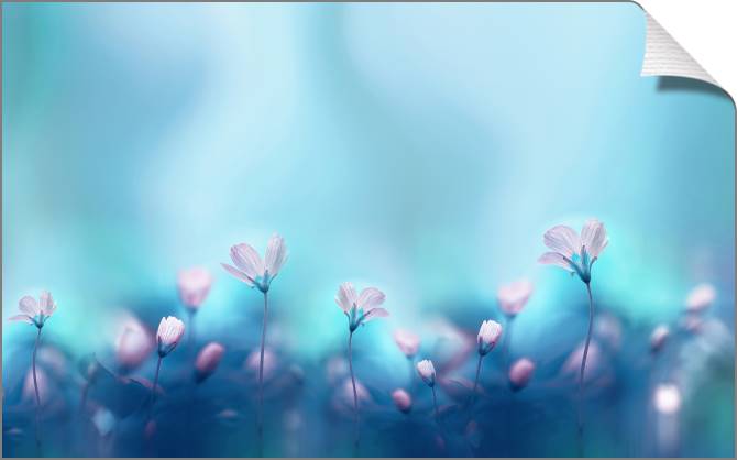 Купить и печать на заказ Картины на холсте Романтичный цветочный фон