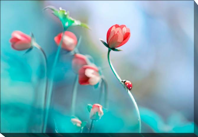 Paintings on canvas Ladybug on the stem of the flower