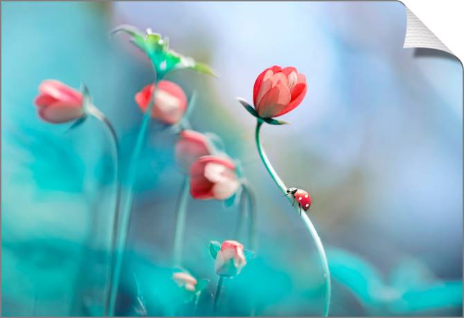 Купить и печать на заказ Картины на холсте Божья коровка на стебле цветка