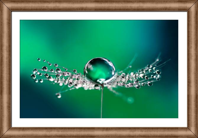 Картины в рамке, багете Rosa