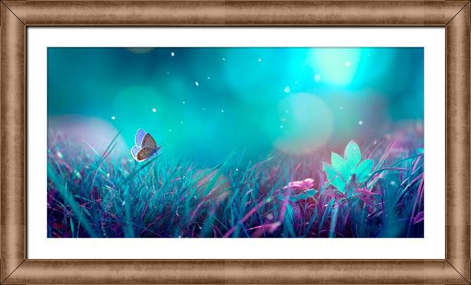 Картины в рамке, багете Butterfly in the moonlight
