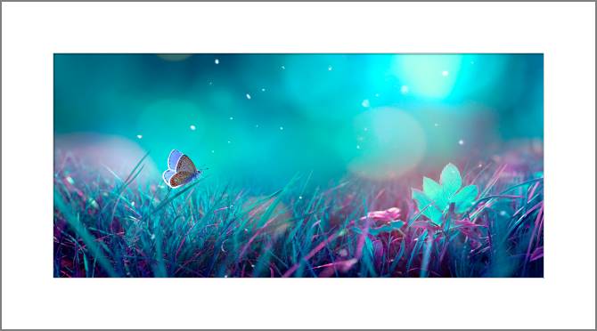 Купить и печать на заказ Картины, фото с паспарту Бабочка в лунном свете