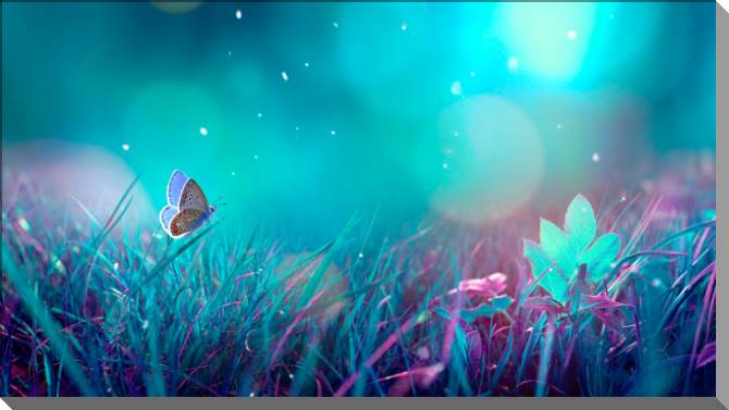 Картины на пластике, пеноркартоне Butterfly in the moonlight