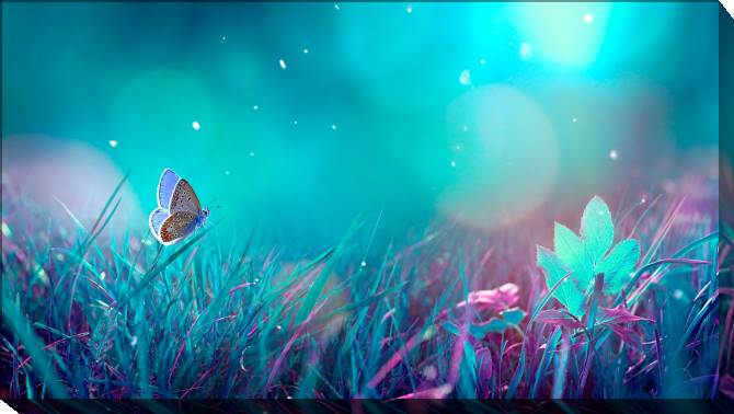 Paintings on canvas Butterfly in the moonlight