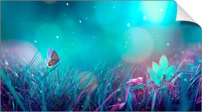 Купить и печать на заказ Картины на холсте Бабочка в лунном свете