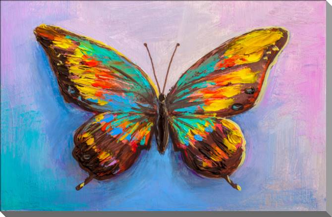 Картины на пластике, пеноркартоне Butterfly oil painting