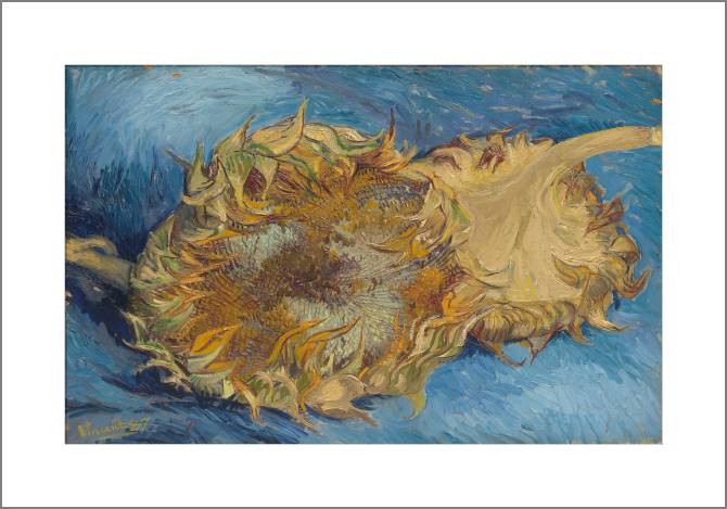 Купить и печать на заказ Картины, фото с паспарту Подсолнухи