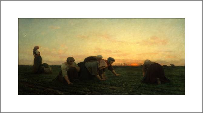 Купить и печать на заказ Картины, фото с паспарту Прополка