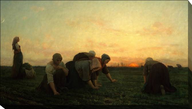 Paintings on canvas Weeding (Jules Breton)