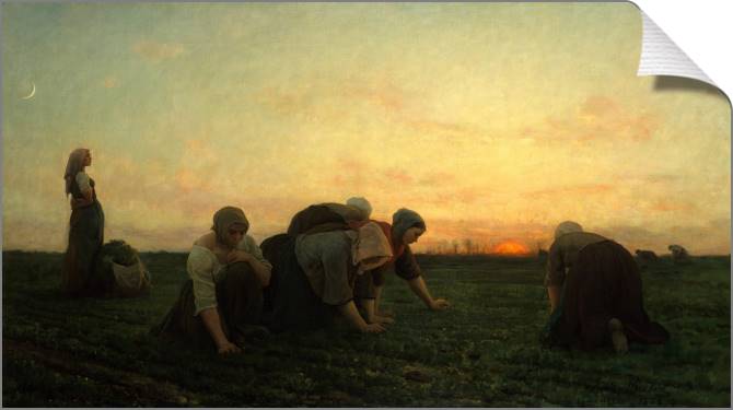 Купить и печать на заказ Картины на холсте Прополка