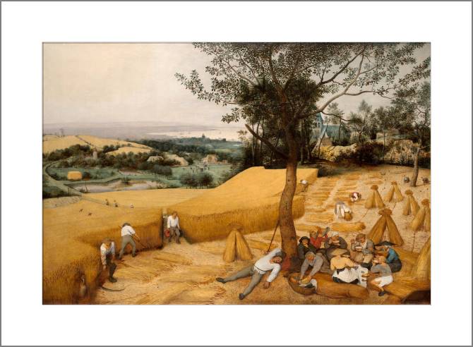 Купить и печать на заказ Картины, фото с паспарту Жатва