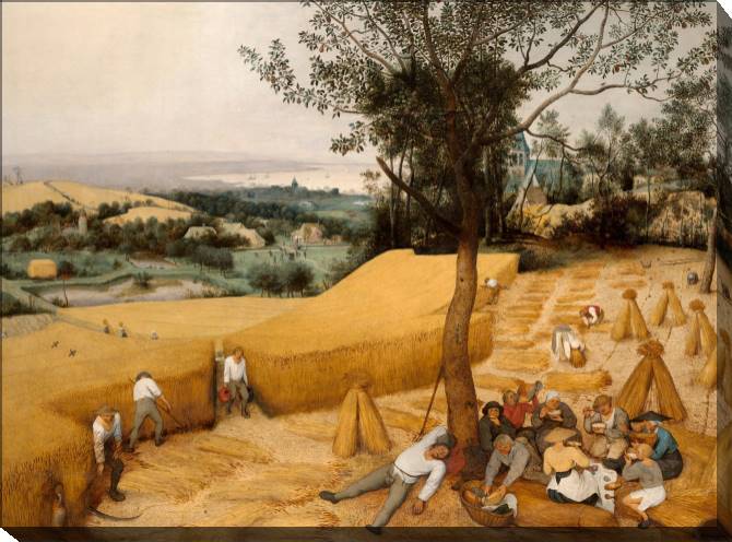Картины на холсте The Reaping (Peter Bruegel The Elder)