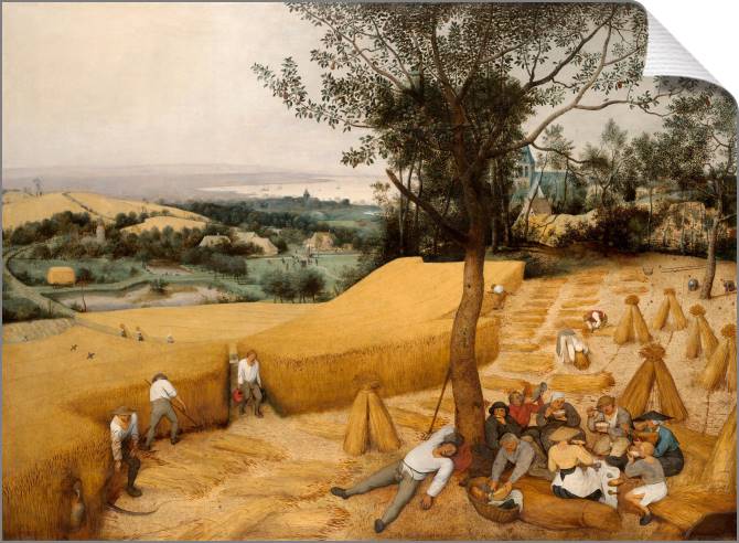 Купить и печать на заказ Картины на холсте Жатва