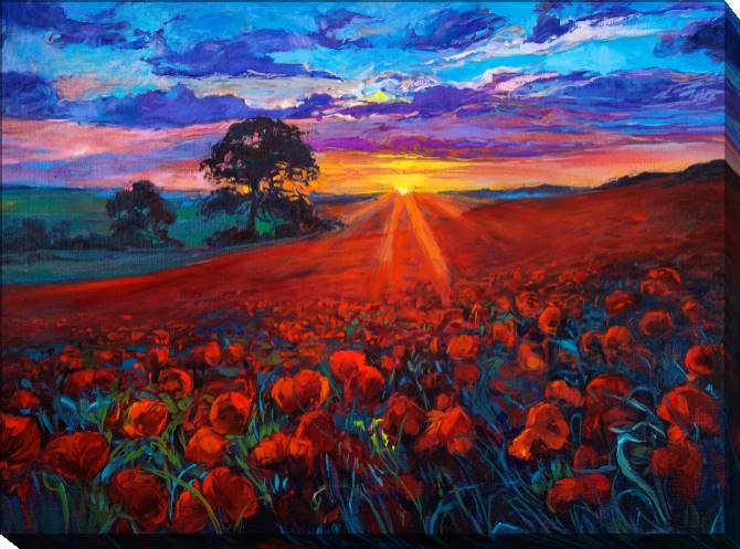 Картины на холсте Poppy field at sunset