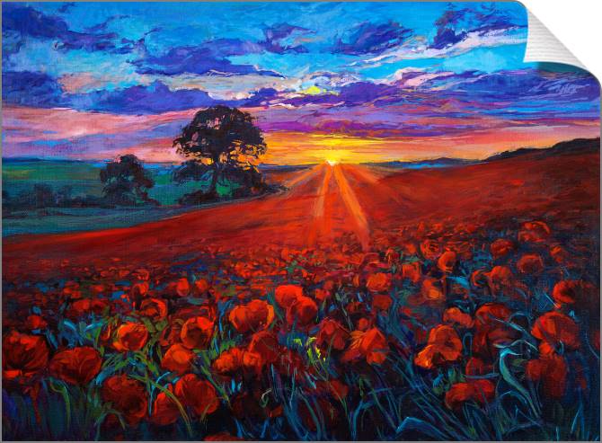 Paintings on canvas Poppy field at sunset