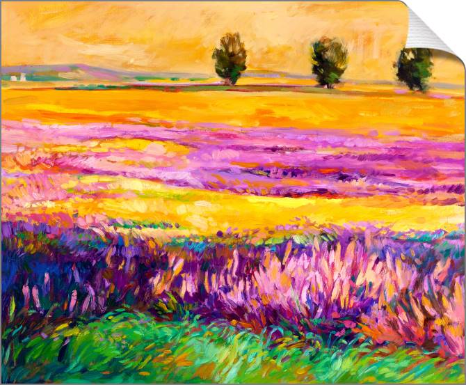 Купить и печать на заказ Картины на холсте Солнечное поле лаванды