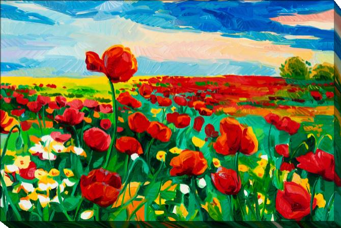 Paintings on canvas Bright field of poppies