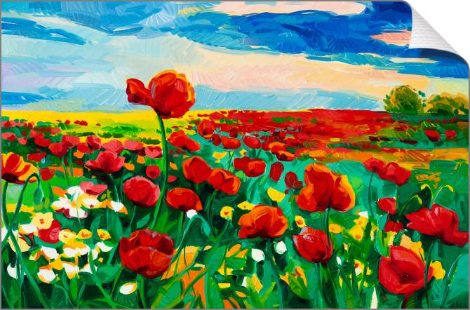 Paintings on canvas Bright field of poppies