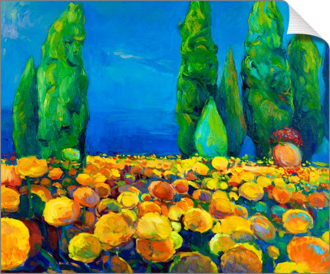 Paintings on canvas A bright field of sunflowers