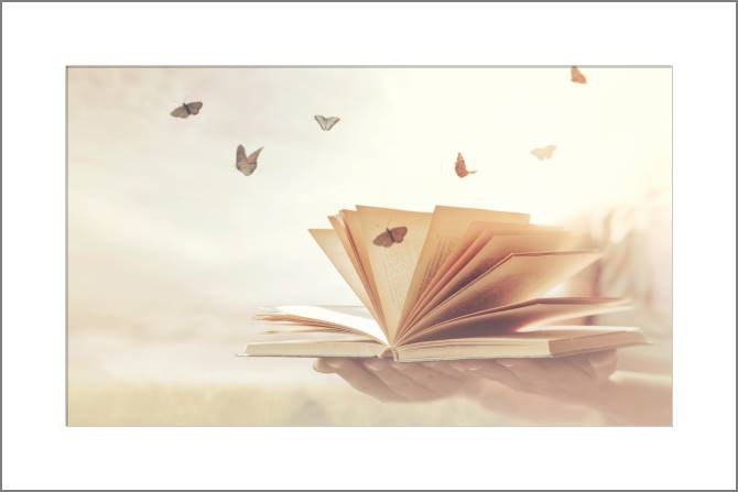 Картины, фото с паспарту Book and butterflies