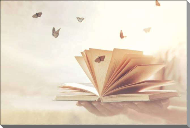 Купить и печать на заказ Картины на пластике, пеноркартоне Книга и бабочки