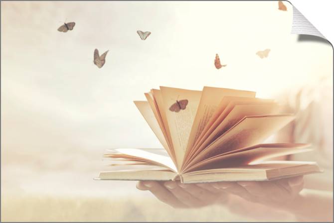 Купить и печать на заказ Картины на холсте Книга и бабочки