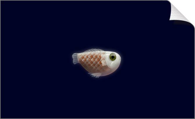 Купить и печать на заказ Картины на холсте Маленькая рыбка на темном фоне