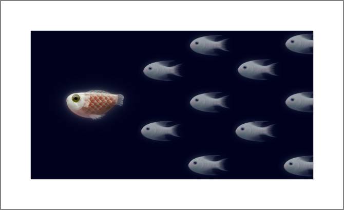 Купить и печать на заказ Картины, фото с паспарту Стайка рыбок на темном фоне