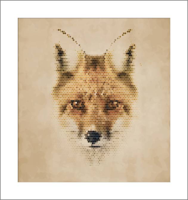 Купить и печать на заказ Картины, фото с паспарту Лиса