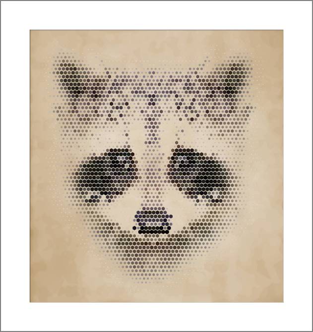 Купить и печать на заказ Картины, фото с паспарту Енот