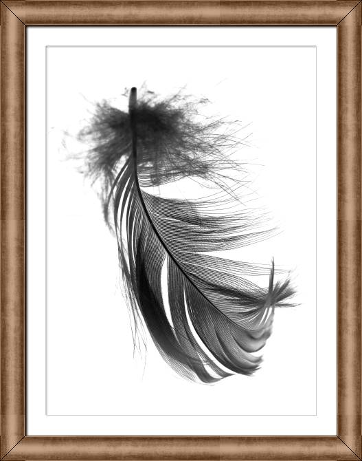 Купить и печать на заказ Картины в рамке, багете Перо