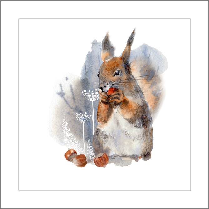 Купить и печать на заказ Картины, фото с паспарту Белочка на акварельном фоне