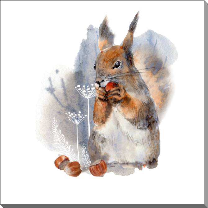 Купить и печать на заказ Картины на пластике, пеноркартоне Белочка на акварельном фоне