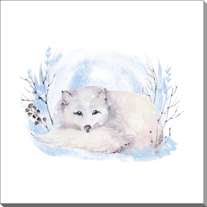 Купить и печать на заказ Картины на пластике, пеноркартоне Песец на акварельном фоне