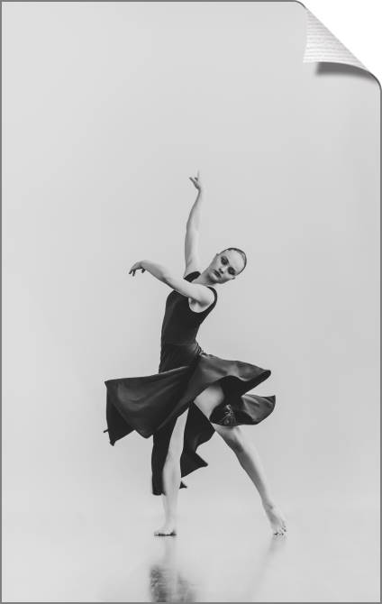 Купить и печать на заказ Картины на холсте Изящная танцовщица