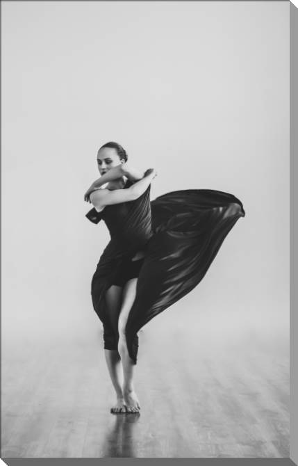 Купить и печать на заказ Картины на пластике, пеноркартоне Изгибы танца