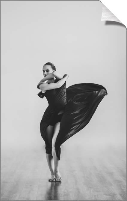 Купить и печать на заказ Картины на холсте Изгибы танца