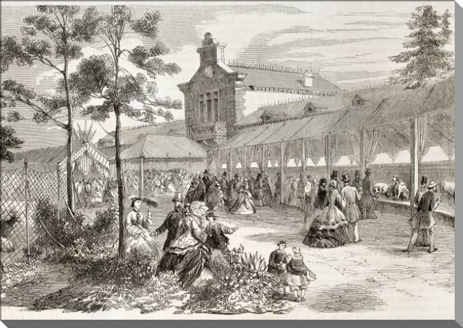 Купить и печать на заказ Картины на пластике, пеноркартоне Старый город Париж