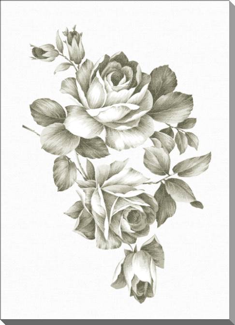 Купить и печать на заказ Картины на пластике, пеноркартоне Розы сепия