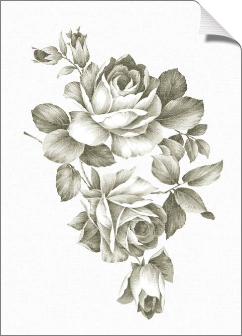 Paintings on canvas Rose Sepia