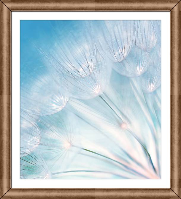 Framed and baguette paintings Dandelion on a blue background